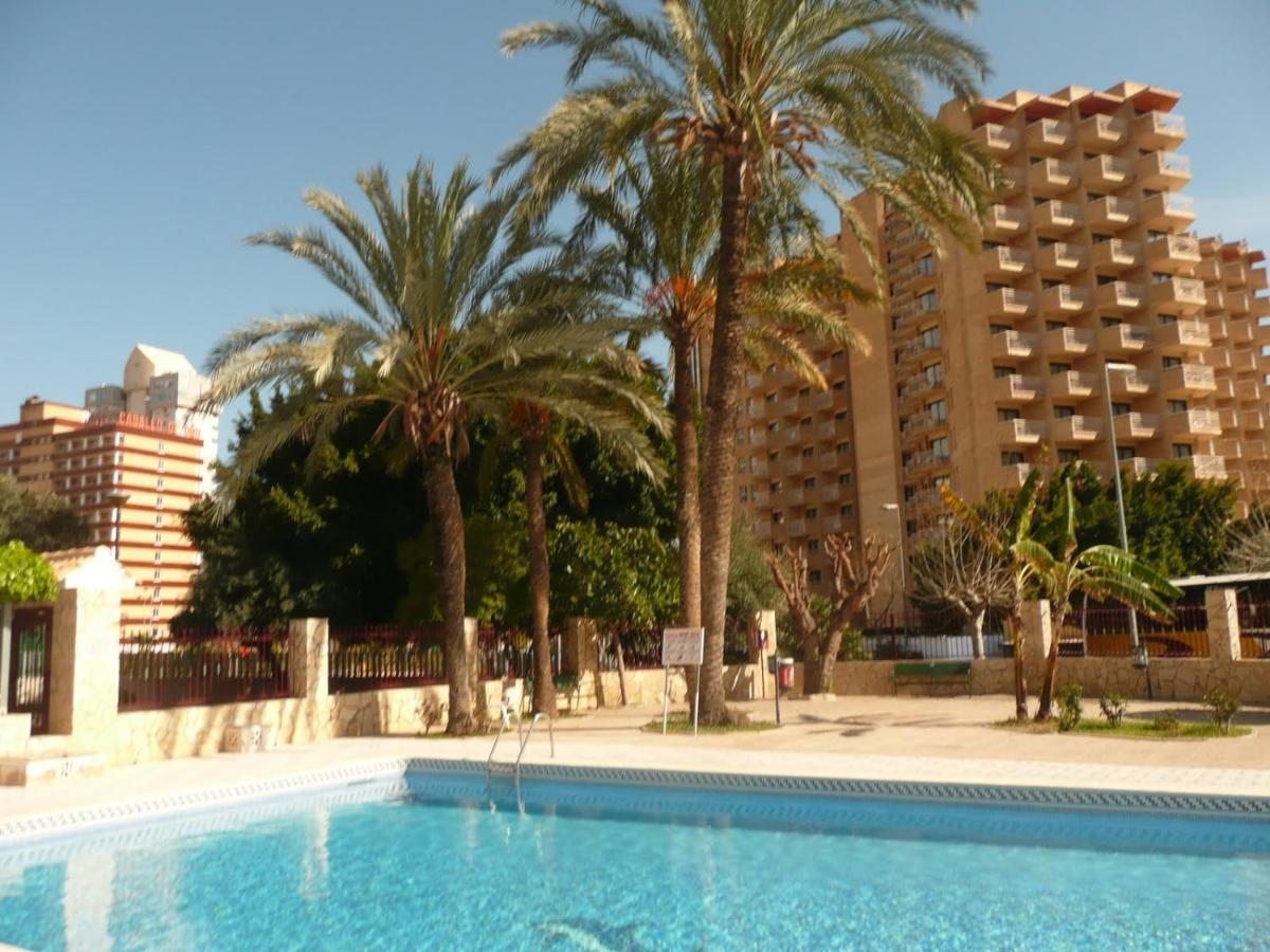 Moby Dick 6C Leilighet Benidorm Eksteriør bilde